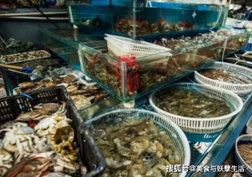 龍蝦情深 中非情誼跨越海陸的暖心買(mǎi)賣