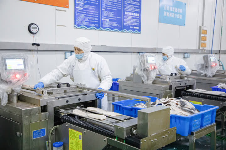 開(kāi)辟綠色生命通道，海安中洋集團(tuán)200噸水產(chǎn)食品馳援上海保供穩(wěn)鏈