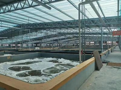 缺蝦百萬噸，產業迎變革 工廠化養蝦面積將破千萬平米，第二屆中國工廠化養蝦大會8月啟幕