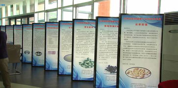 吉林省醫(yī)藥健康產(chǎn)業(yè)科技成果對(duì)接會(huì)圓滿落幕，科技中介服務(wù)賦能產(chǎn)業(yè)創(chuàng)新